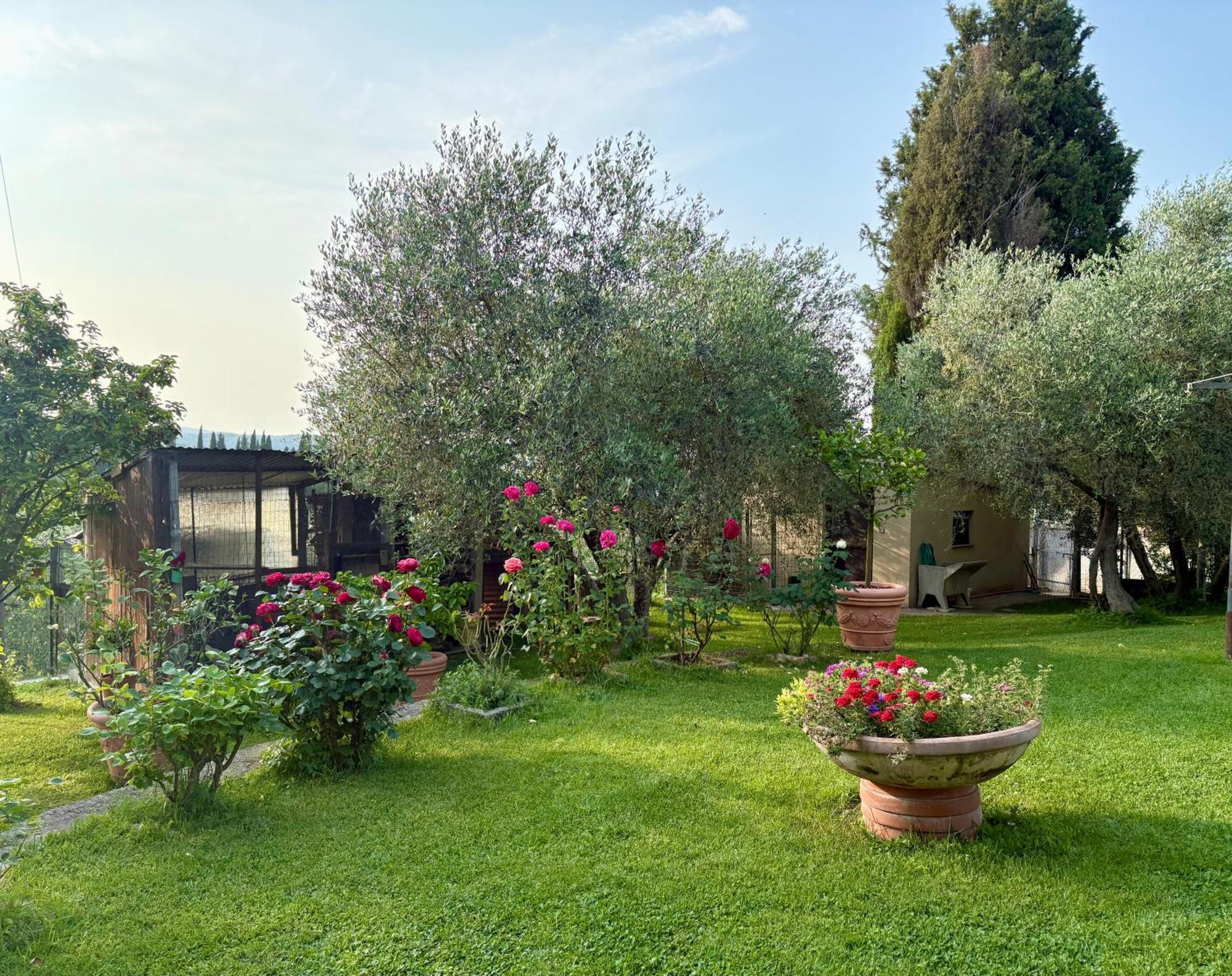 B&B Il Pozzo Sinalunga Exterior foto
